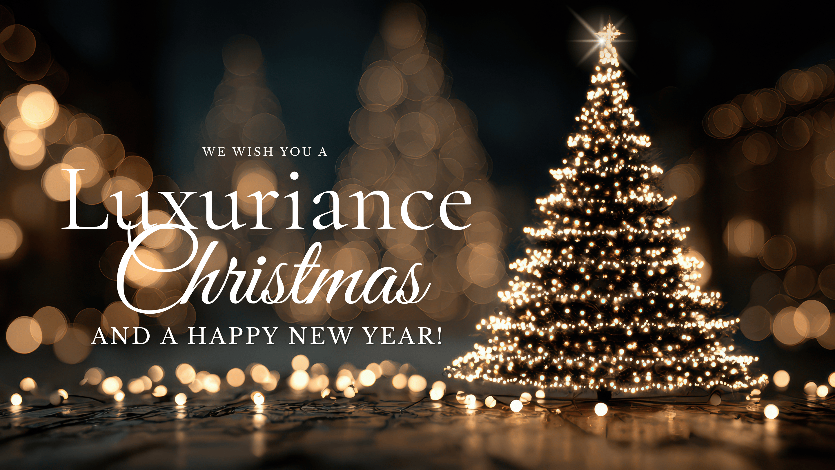 Holiday Shopping Women's Clothing 